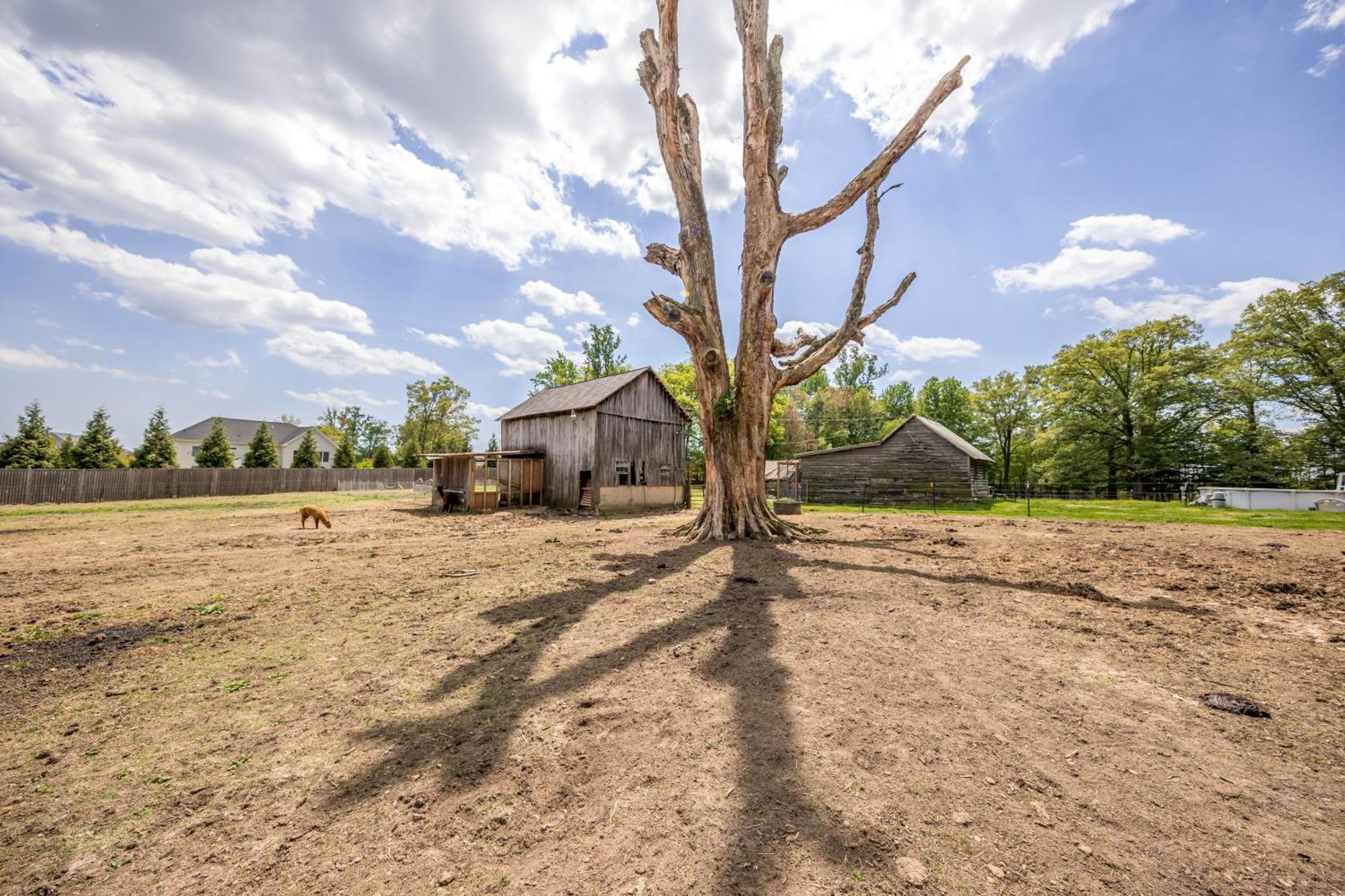 Small House On Gentleman's Farm