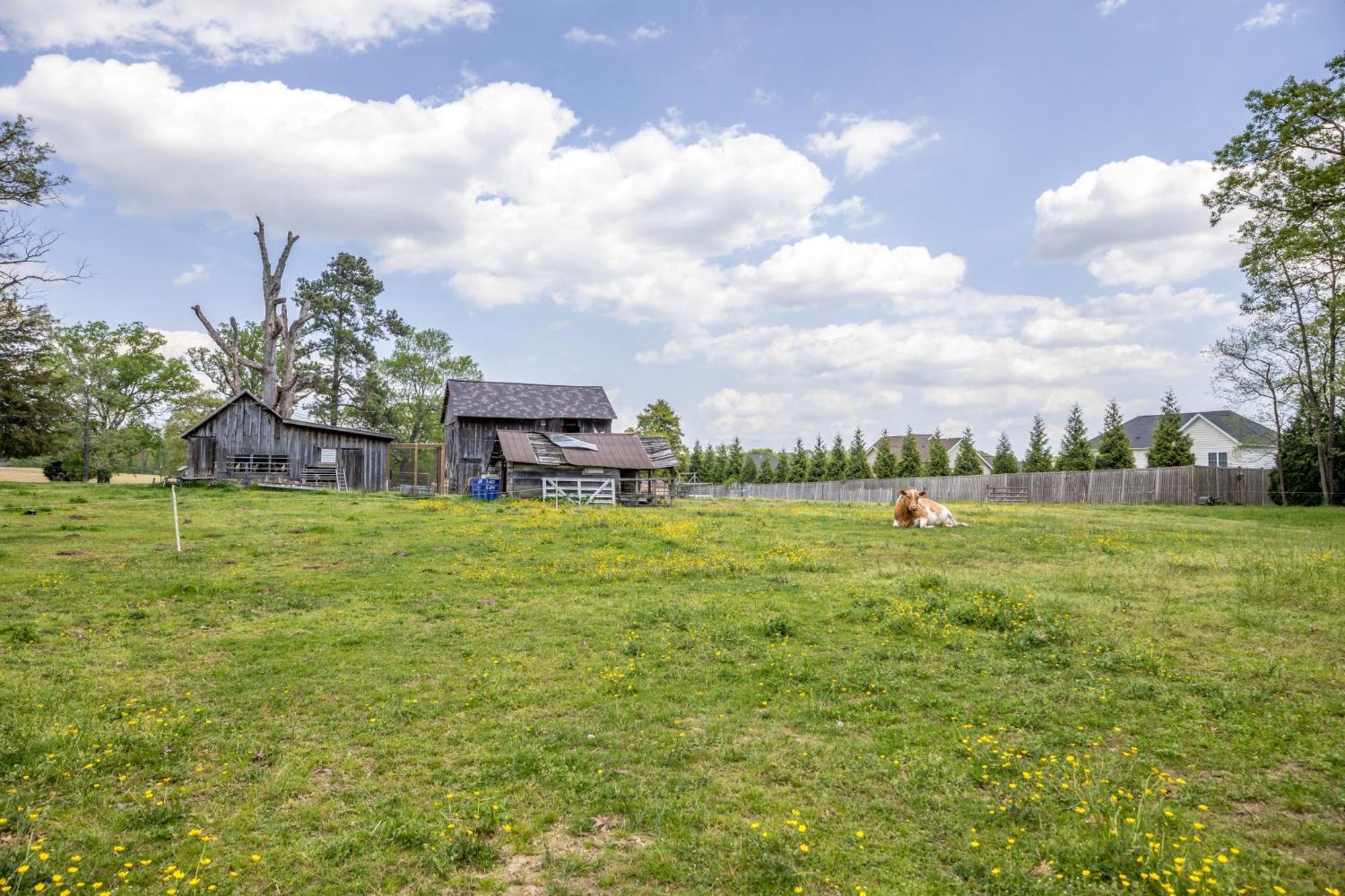 Small House On Gentleman's Farm * Bel Air